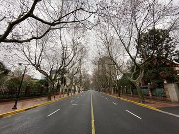 Empty road along bare trees