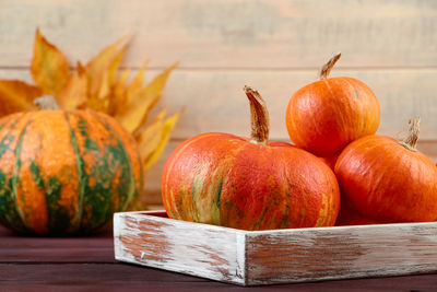 Close-up of pumpkins