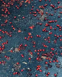 Full frame shot of red berries