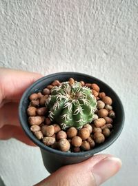 High angle view of people in bowl