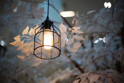 Low angle view of illuminated pendant light hanging at night