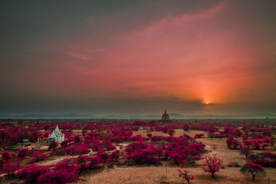 View of temple in field of trees