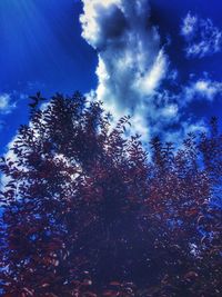 Low angle view of silhouette trees against blue sky