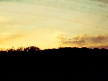 Silhouette of trees at sunset