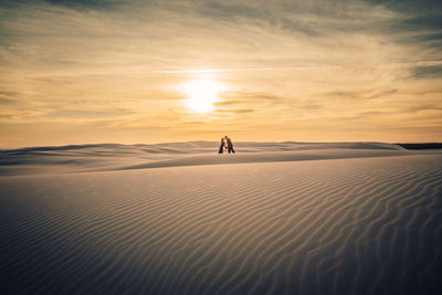 Silhouette people on land against sky during sunset