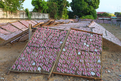 Built structure in market