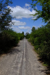 Empty road amidst trees against sky