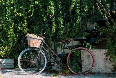 Bicycle by potted plants in forest