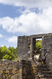 Low angle view of old ruin building against cloudy sky