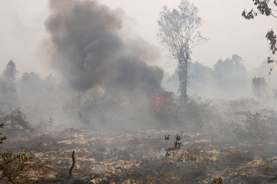 Peatlands in riau are burning and black smoke is billowing