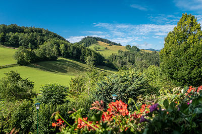 Scenic view of flowering plants and trees against sky