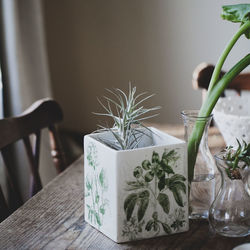 Potted plants on table