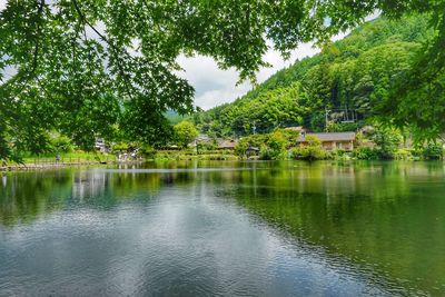 Scenic view of lake against trees