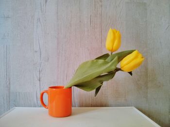 Close-up of tulip on table