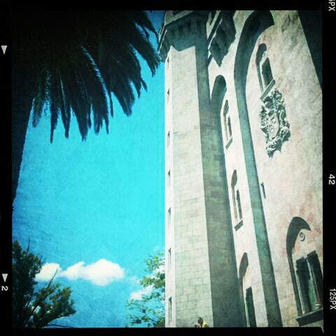 architecture, built structure, building exterior, transfer print, auto post production filter, tree, low angle view, sky, blue, day, religion, church, no people, tower, building, palm tree, outdoors, arch, city, sunlight