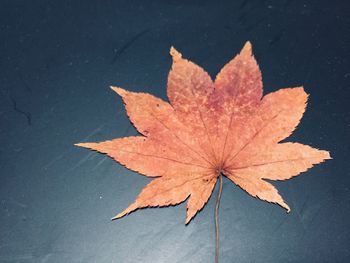 High angle view of maple leaf against orange sky