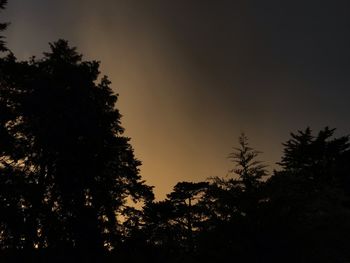 Low angle view of silhouette trees against sky during sunset