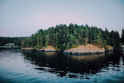 Reflection of trees in calm lake