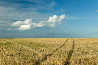 Traces of wheels on stubble and white clouds on blue sky, summer rural view