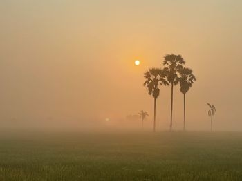 Scenic view of field against sky during sunset