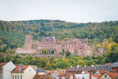 Buildings in a town