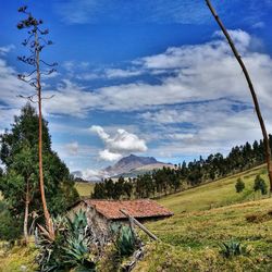 Scenic view of landscape against sky