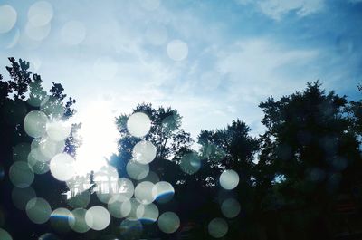 Low angle view of trees against sky