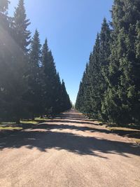 Empty road amidst trees against clear sky