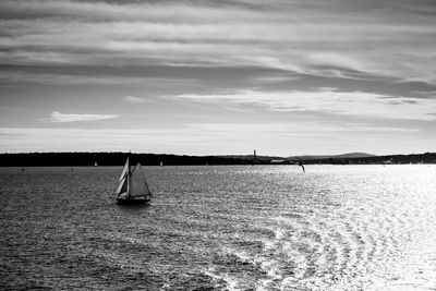 Sailboat sailing on sea against sky