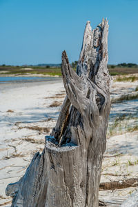Close-up of driftwood on wooden post at beach against sky