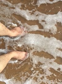 Low section of person on beach