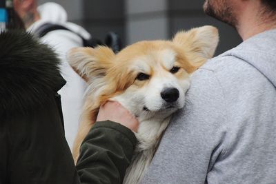 Close-up of man with dog