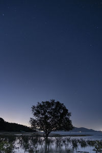 Scenic view of lake against sky at night