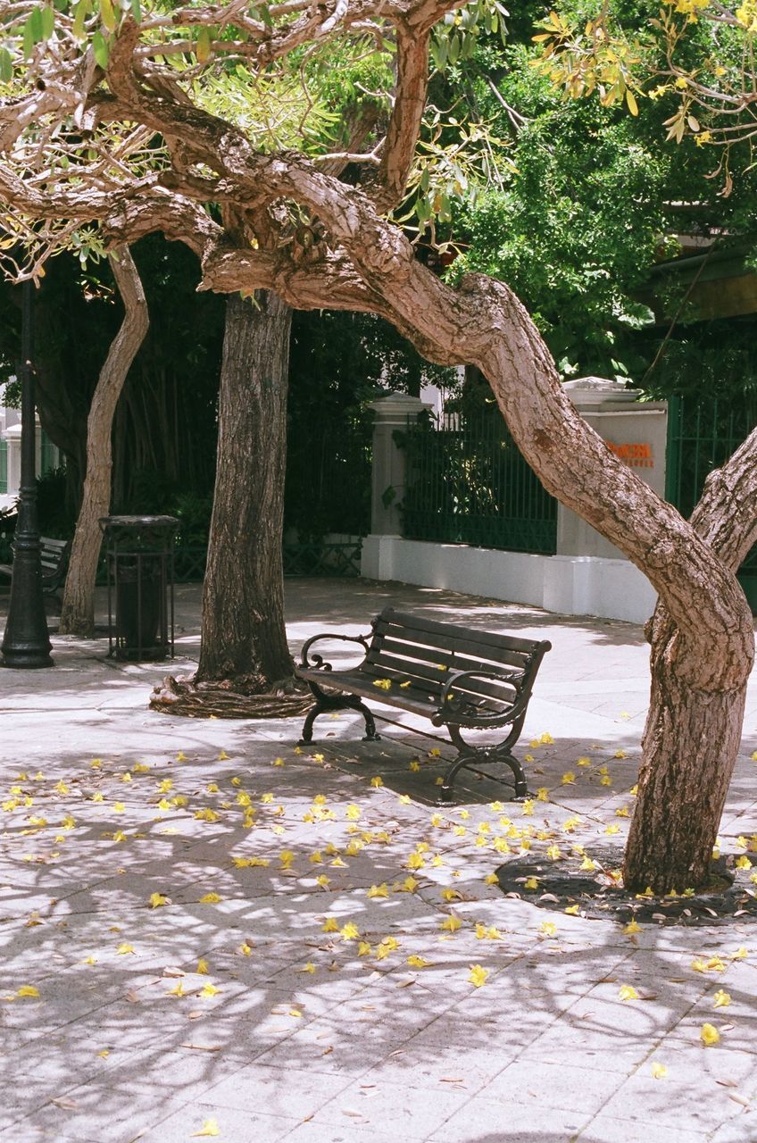 EMPTY BENCHES IN PARK