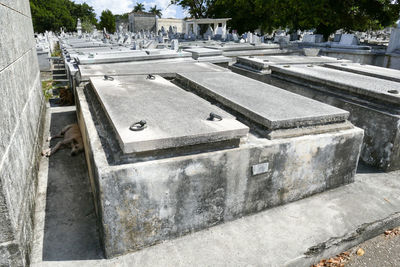 View of cemetery in city