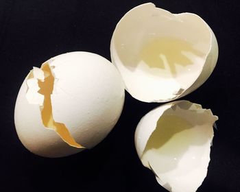 High angle view of eggs against black background