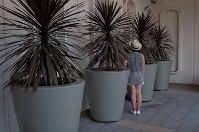 Rear view of woman standing by palm tree