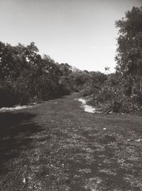 Scenic view of calm sea against clear sky