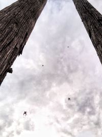 Low angle view of birds flying against sky