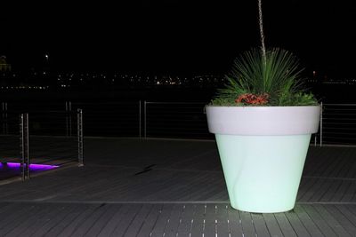 Potted plants in the dark