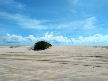 Scenic view of desert against sky