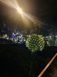 Illuminated trees against sky at night