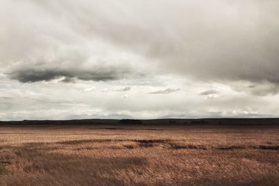 Scenic view of field against storm clouds