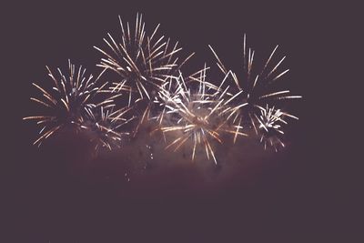 Close-up of firework display against black background