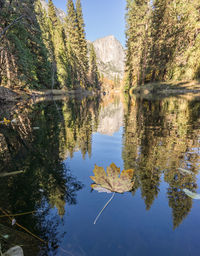 Reflection of trees in lake against sky