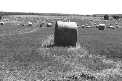 Hay bales on field against clear sky