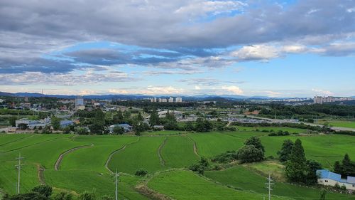 Scenic view of field against sky