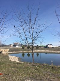 Scenic view of lake against clear sky