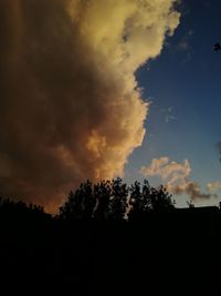 Low angle view of silhouette trees against sky during sunset