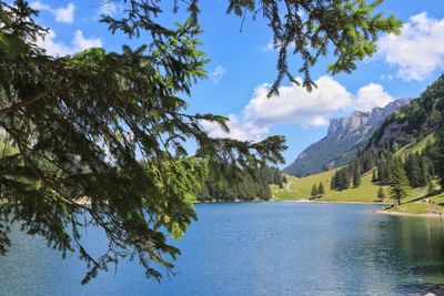 Scenic view of lake by trees against sky